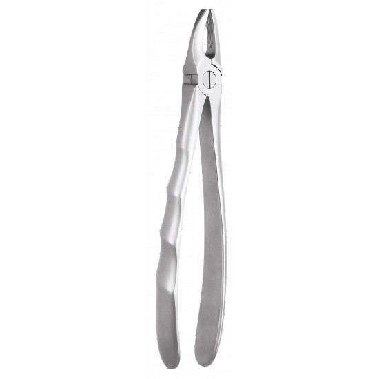 Ergonomic Extraction Forcep Upper Roots FX51AE GDC Extraction Forceps Rs.1,607.14