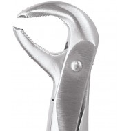 Standard Extraction Forcep Lower Molars FX73S